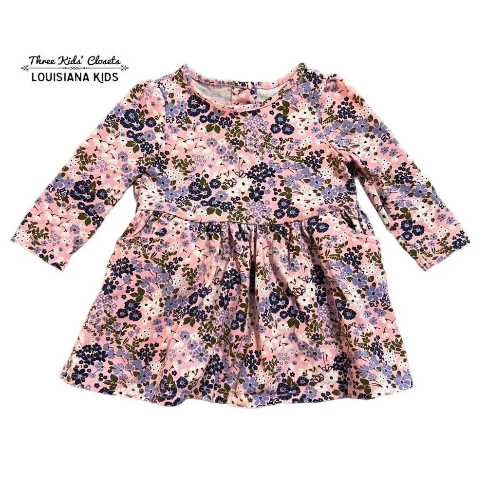 Crazy 8 6-12m Pink Floral Dress